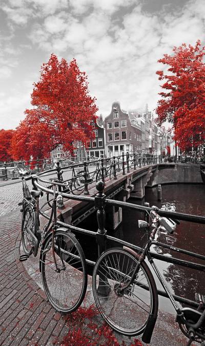 Фотообои Амстердам | арт.12442