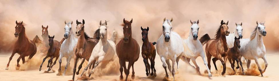 Фотообои Табун лошадей | арт.16335