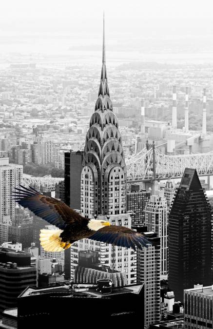 Фотообои Орел над Нью-Йорком | арт.16340