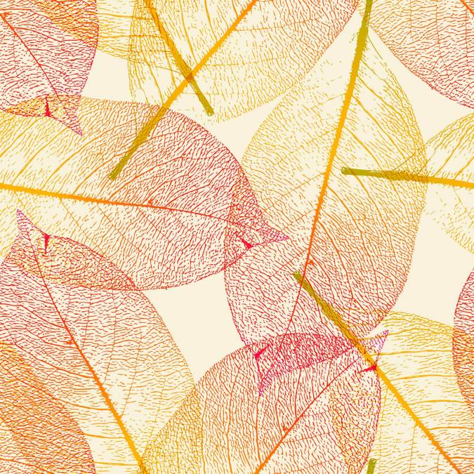 Фотообои Красно-желтые листья | арт.1717