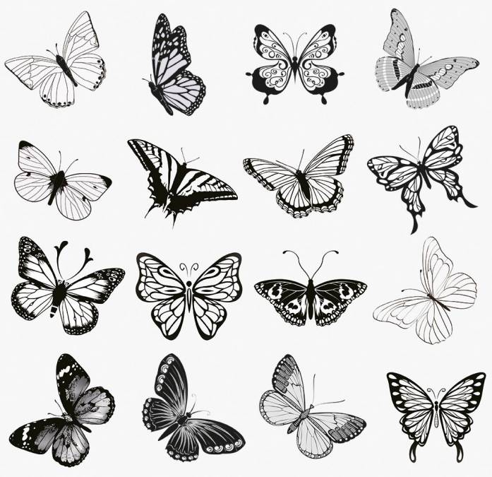 Фотообои Бабочки | арт.10590