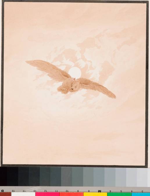Фотообои Полет Совы В Лунном Небе | арт.18180