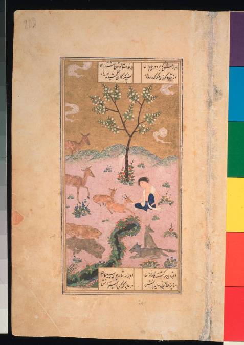 Фотообои Majnun In The Desert | арт.18219