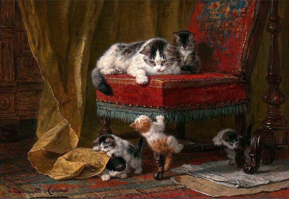 Фотообои Играющие котята | арт.18345