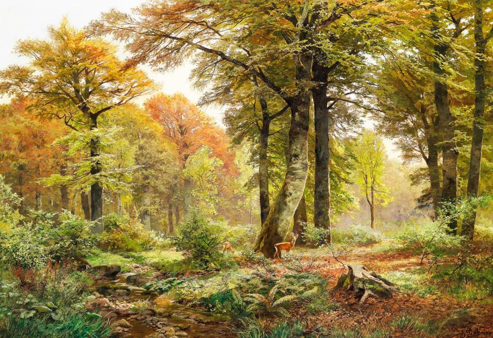 Фотообои Зеленый лес | арт.18418
