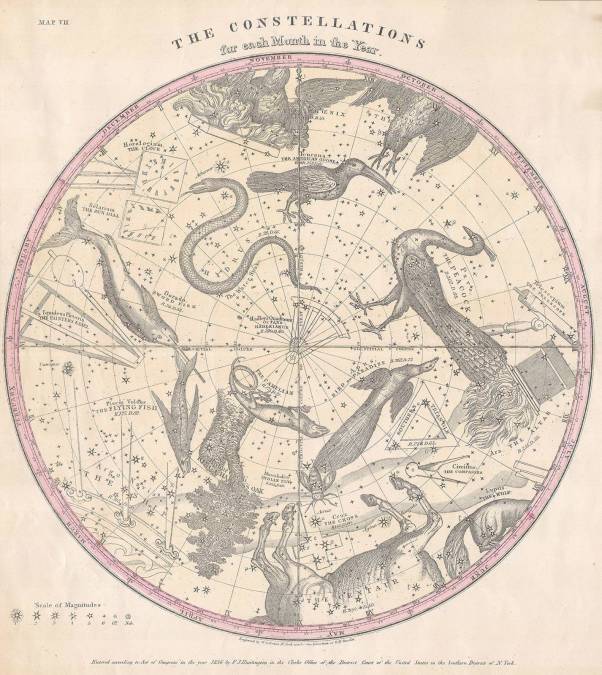 Фотообои Карта Астрономии и Астрологии | арт.1974