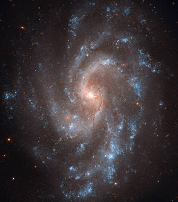 Фотообои Спиральная Галактика | арт.2048