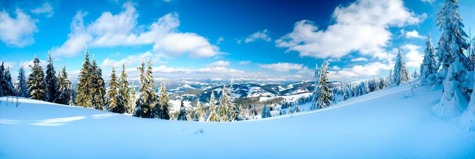 Фотообои Зимняя панорама | арт.2218