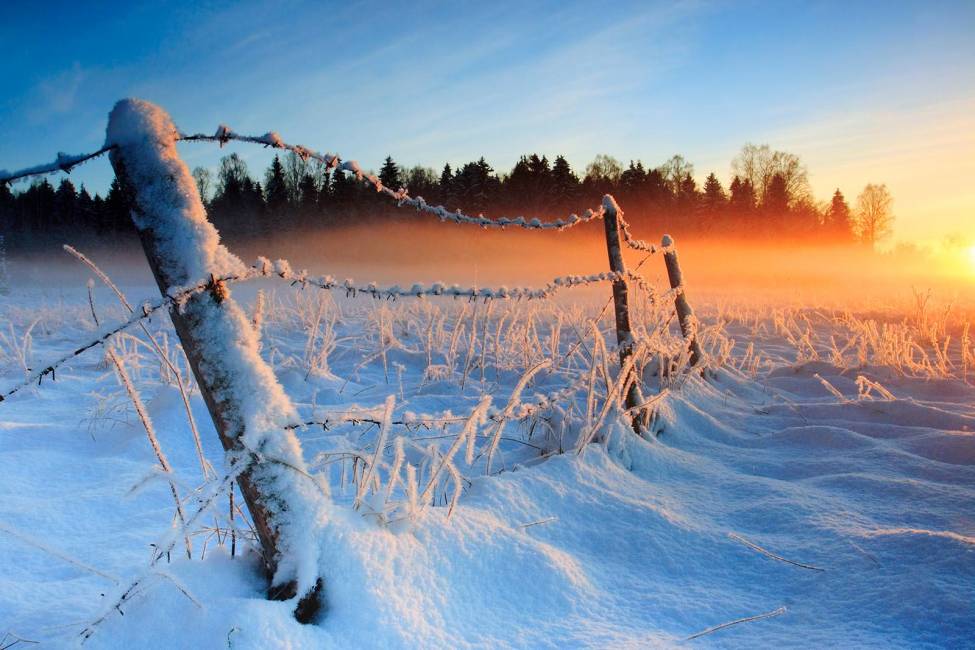 Фотообои Зимняя Ограда | арт.2353