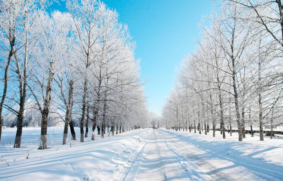 Фотообои Зимняя Дорога | арт.23446