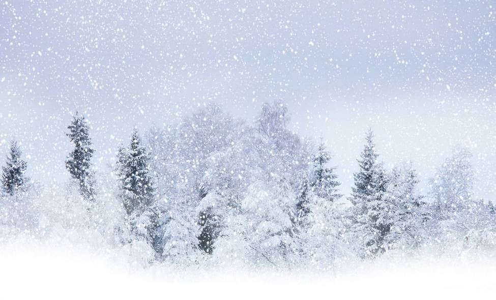 Фотообои Зима | арт.23449