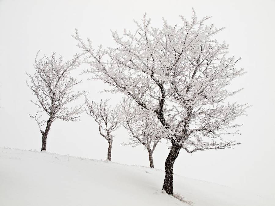 Фотообои Зима | арт.23503