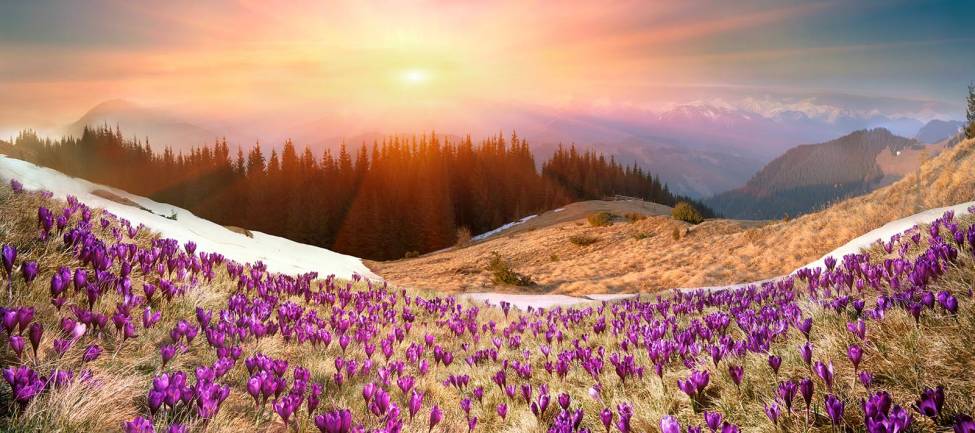 Фотообои Закат в горах. Панорама | арт.23645