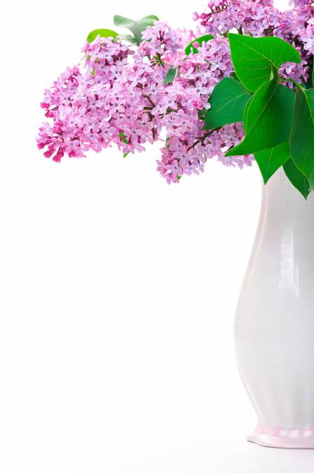 Фотообои Сирень в белой вазе | арт.28494