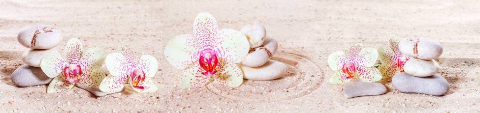 Фотообои Орхидеи на песке | арт.28659