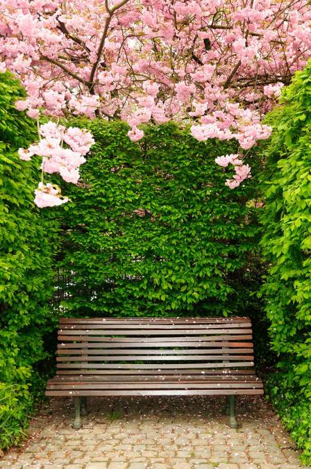 Фотообои Скамейка в зелени и цветах | арт.11333