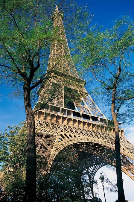 Фотообои Эйфелева башня | арт.1215