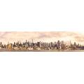Фотообои Панорама Нью-Йорка | арт.12449