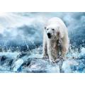 Фотообои Белый медведь на льдине | арт.16333