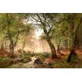 Фотообои Ручей в лесу | арт.18417