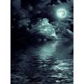 Фотообои Ночное Море | арт.21153