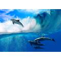 Фотообои Дельфины в море | арт.21227