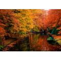 Фотообои Осенний Парк | арт.23328