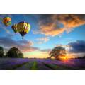 Фотообои Воздушные шары над лавандовым полем | арт.23652