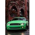 Фотообои Ford Mustang | арт.2539