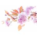 Фотообои Ветвь цветущей сакуры | арт.28611