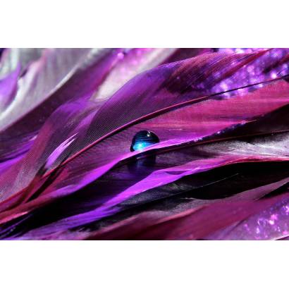 Фотообои Фиолетовые перья | арт.10607