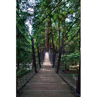 Фотообои Навесной мост в хвойном лесу | арт.11186