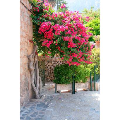 Фотообои Уютная улочка с розовым кустарником | арт.11272