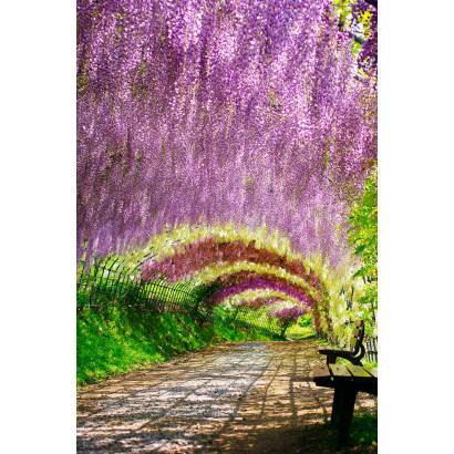 Фотообои Цветочный коридор. Япония | арт.11330