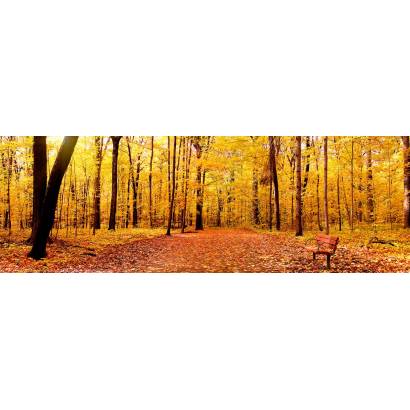 Фотообои Панорама Осень | арт.2214