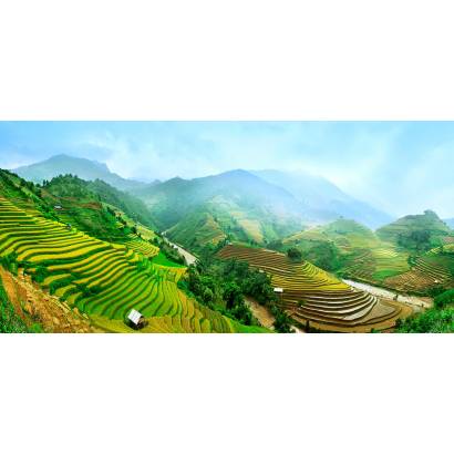 Фотообои Рисовые плантации. Япония | арт.23574