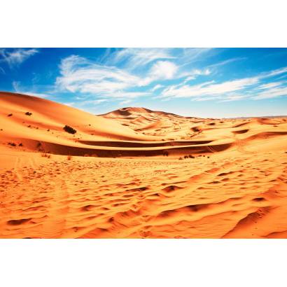 Фотообои Пустыня | арт.23590